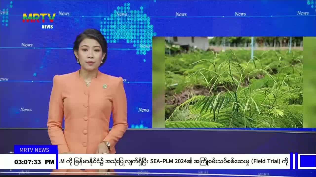 ဆူးပုပ်ပင်သည် နှစ်ရှည်ပင်ဖြစ်ပြီး နေရာမရွေး စိုက်ပျိုးနိုင်သော အပ...