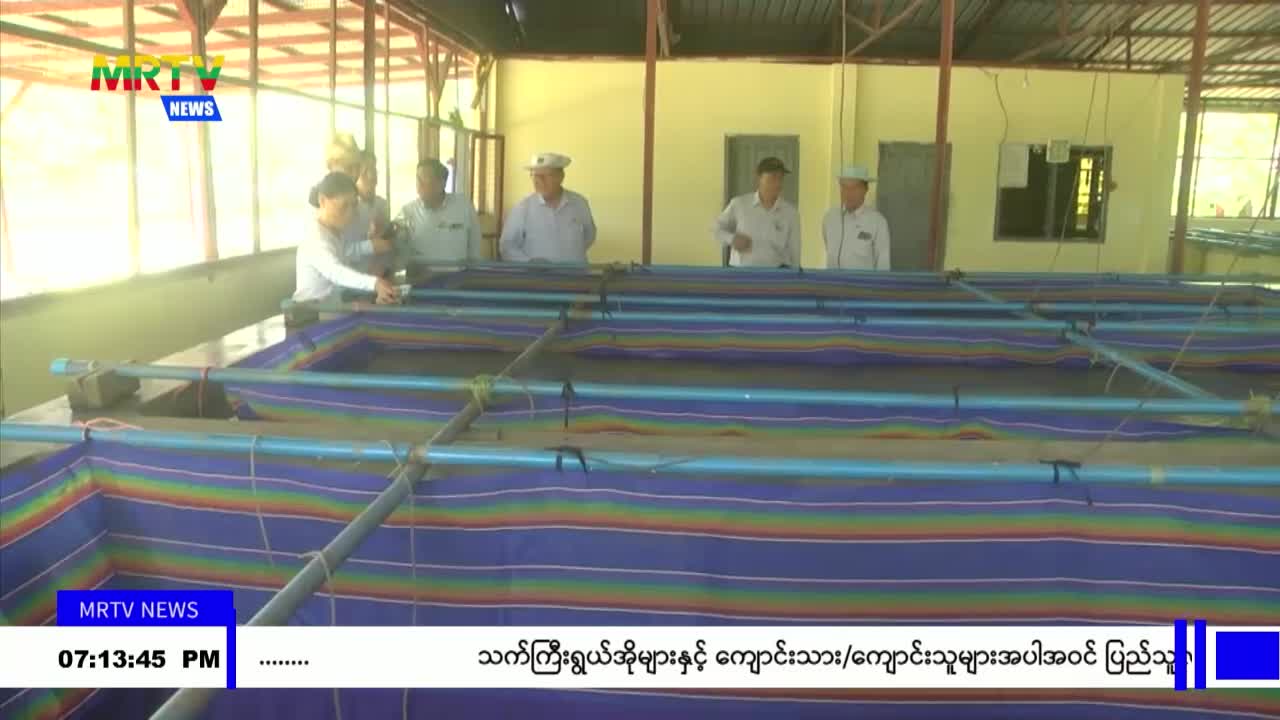 လေးထောင့်ကန်ငါးလုပ်ငန်းစခန်းမှ ရန်ကုန်တိုင်းဒေသကြီးအတွင်း ငါးသယ...