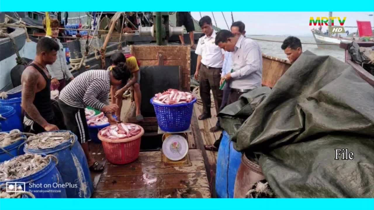 ငါးလုပ်ငန်းဦးစီးဌာနသို့ ကုမ္ပဏီစက်ရုံများမှ(GACC) လျှောက်ထားပြီးသည့...