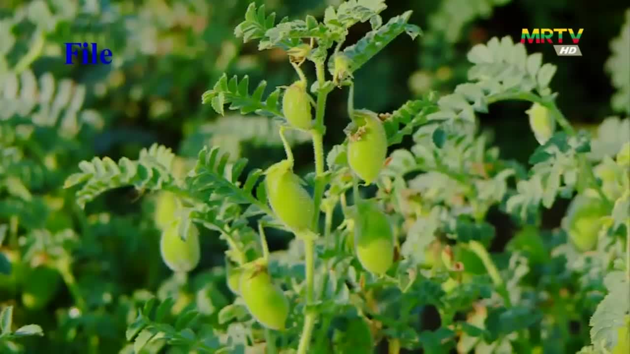 ၂၀၁၇-၂၀၁၈ ခုနှစ်မှ ၂၀၂၁-၂၀၂၂ ခုနှစ်အထိ မြေခွန်စည်းကြပ်ကောက်ခံမှုအပ...