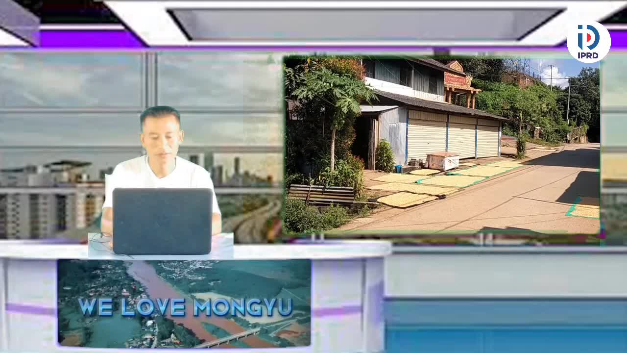 မိုင်းယုမြို့၌ မိုးအစေ့ထုတ်ပြောင်းများ ဆွတ်ခူးရောင်းချရာ စျေးကော...
