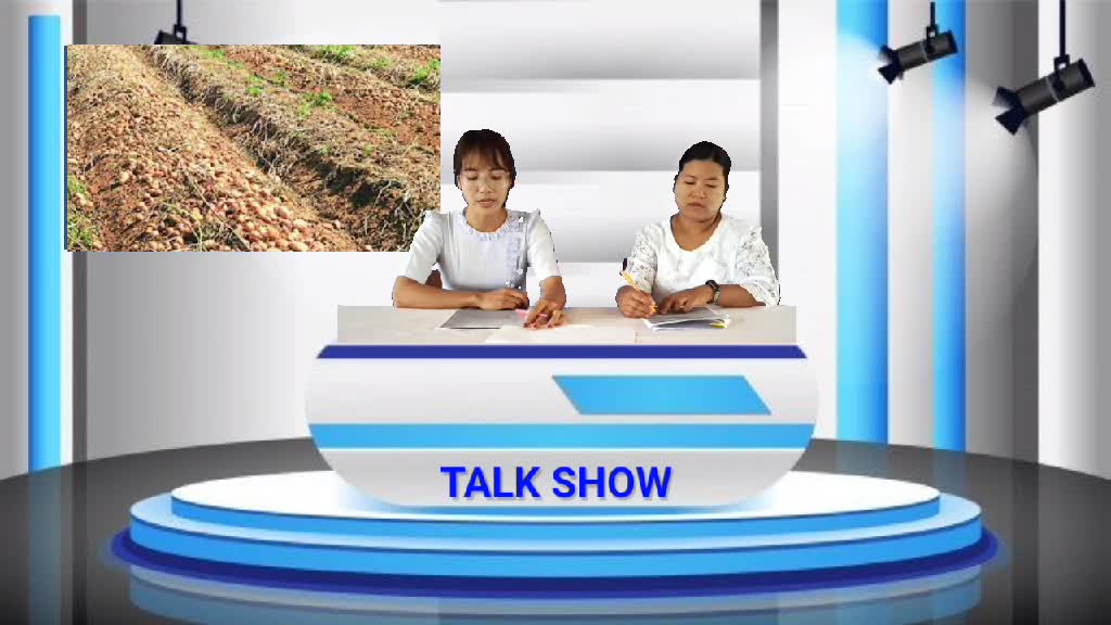 ကျွန်းလှ၌အာလူးစိုက်ပျိုးခြင်းအကြောင်း သိကောင်းစရာ Talk Show ကျင်းပ