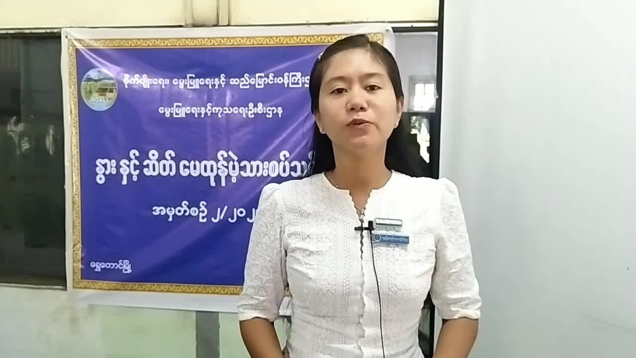 ပဲခူးတိုင်းဒေသကြီး ရွှေတောင်မြို့နယ်တွင် နွားနှင့်ဆိတ် မေထုန်မဲ့...