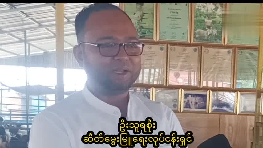 သန်လျင်မြို့၌ဆိတ်မွေးမြူရေးအောင်မြင်ဖြစ်ထွန်း